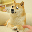 The Doge NFT