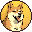 DOGE20