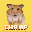 HamsterChamp