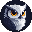 Snowy Owl