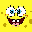 Sponge
