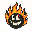 Don’t Burn Capital