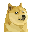 Doge Inu