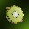 Kiwi Swap