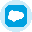 Salesforce Tokenized Stock (Ondo)