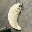 Mooncat