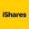 Ishares Msci Brazil ETF (Derivatives)