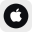 Apple Tokenized Stock (Reality)