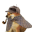 Pipedog