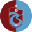 Trabzonspor Fan Token