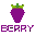 Berry Data