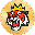 Tiger King Coin