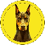 Dobermann (DOBE)