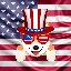 Shibmerican (SHIBMERICAN)