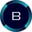 Balance Token (BALN)