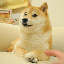 The Doge NFT (DOG)