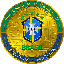 Brazil National Football Team Fan Token (BFT)