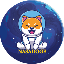 Nasa Doge (NASADOGE)