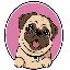 PUG COIN (PUG)