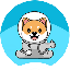 Shiba Interstellar (SHINT)