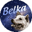 Belka (BLK)