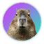 Capybara (CAPY)