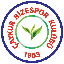 Rizespor Token (RIZE)