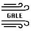 Gale Network (GALE)