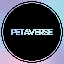 Petaverse (PETA)