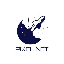 PIXEL NFT (PNT)