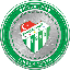 Bursaspor Fan Token (TMSH)