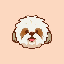 Shih Tzu Inu (SHIH-TZU)