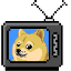 Doge-TV ($DGTV)