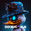 DuckyCoinAI (DUCKYAI)