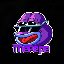 The PEPE (THEPEPE)