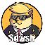 Doge of WallStreetBets (DWSB)