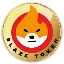 BLAZE TOKEN (BLZE)