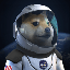 SpaceXDoge (SDOGE)