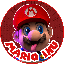 Mario Inu BSC (MARIO)