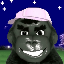 KONG (KONG)