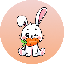 Rabbit INU (RBIT)