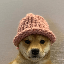 dogwifhat (DOGWIFHAT)