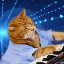 Keyboard Cat (KEYCAT)