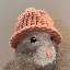 RatWifHat (RATWIF)