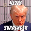 NEVER SURRENDER (TRUMP)