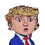 Mini Donald (BARRON)