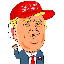 MAGA: Fight for Trump (TRUMPCOIN)