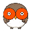 HOOT (HOOT)