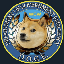 Department of Gov Efficiency (deptofgovtefficiency.com) (DOGE)