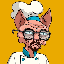 Degen Chef (DCHEFSOL)